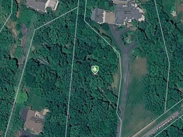 Land for sale in Virginia