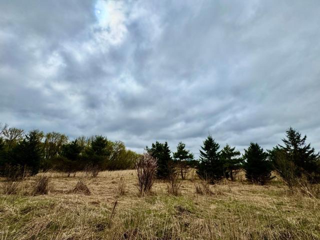 Land for sale in Rockville, Minnesota