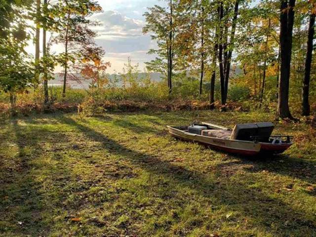 House for sale in Carp Lake, Michigan