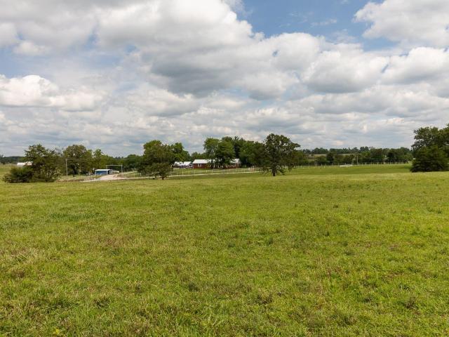 Land for sale in Mountain Grove, Missouri
