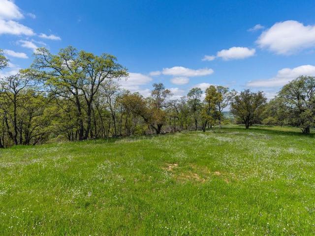 Land for sale in Sutter Creek, California