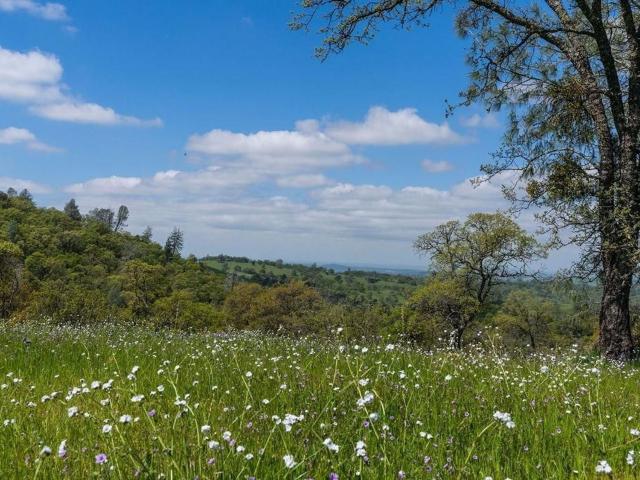 Property for sale in Sutter Creek, California