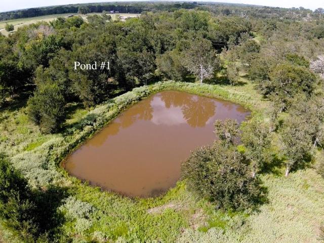 Farm for sale in Dime Box, Texas