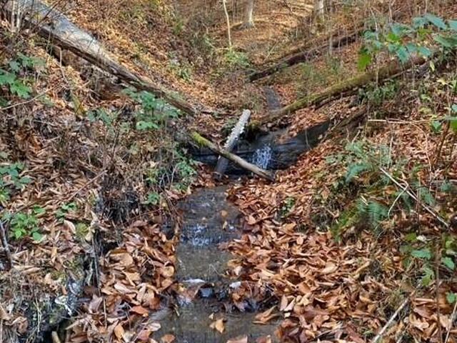 House for sale in Letcher, Kentucky