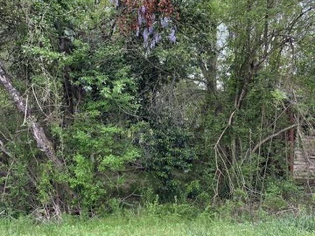 Land for sale in Laurel Hill, Scotland County