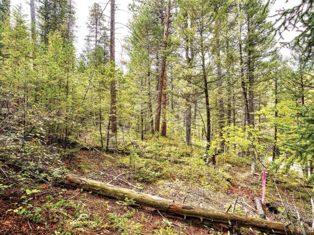Land for sale in Golden