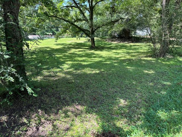 Land for sale in Wesson, Mississippi