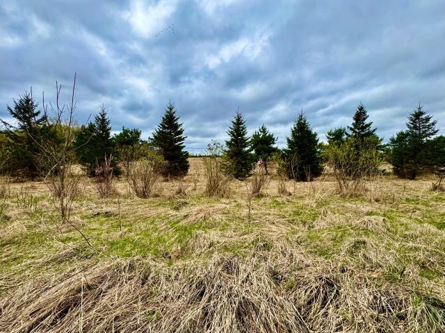 Land for sale in Rockville, Minnesota