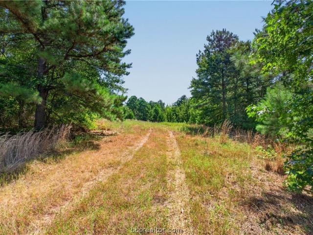Land for sale in Gilmer, Upshur County