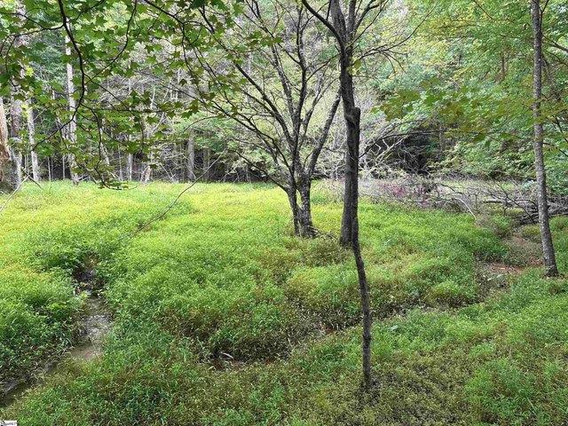 Land for sale in Jonesville, South Carolina