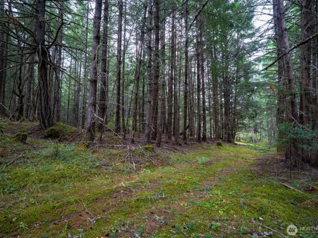 Land for sale in Washington