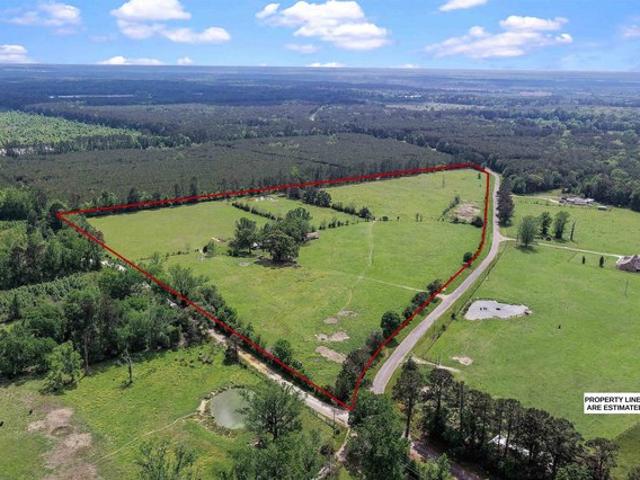 Land for sale in Panola, Texas