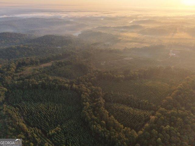Land for sale in Toccoa, Stephens County