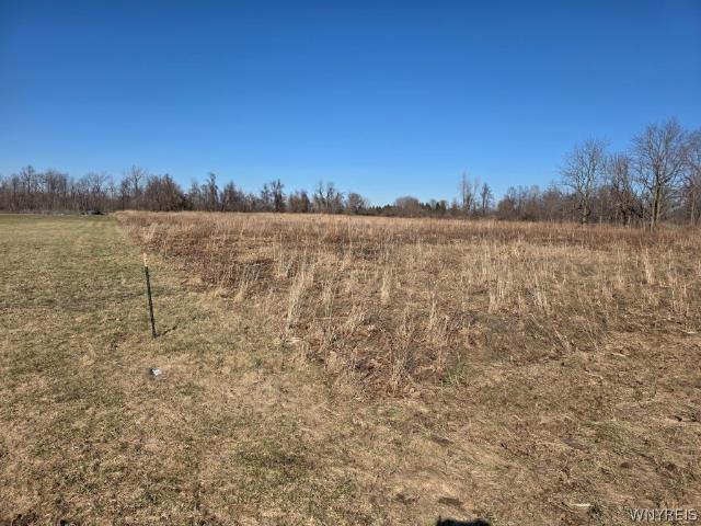 Land for sale in Clarence, New York