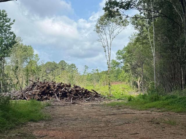 Land for sale in Florence, Alabama