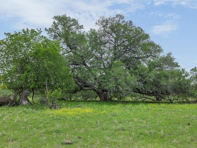 Land for sale in La Grange, Texas