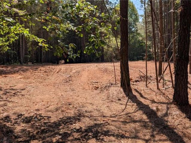 Land for sale in Ball Ground, Cherokee County