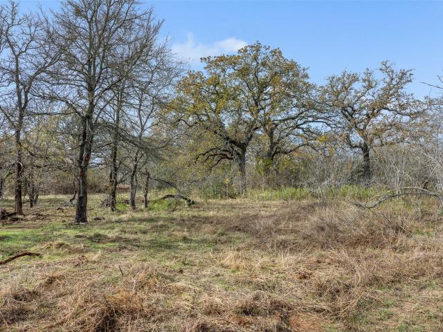 Land for sale in Bugtussle, Luling