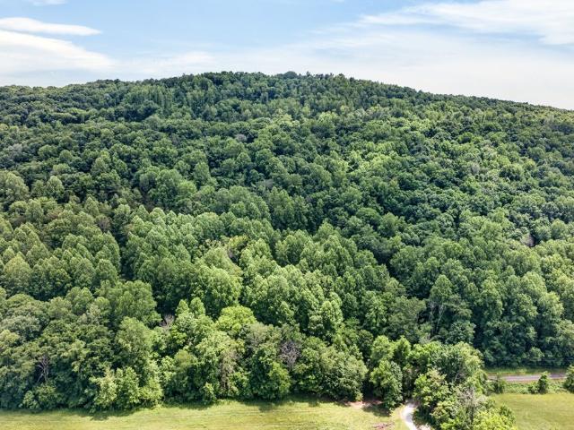 Land for sale in Tennessee