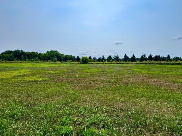 Land for sale in Rockville, Minnesota