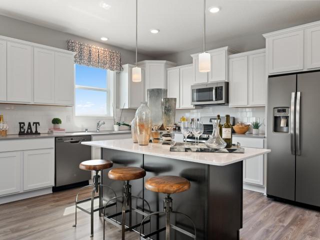 House for sale in Cottage Grove, Minnesota
