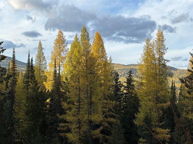 House for sale in Trego, Montana