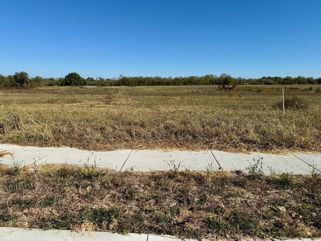 Land for sale in Republic, Missouri
