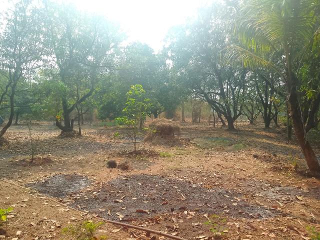 Land for sale in Navi Mumbai, National Capital Territory Of Delhi