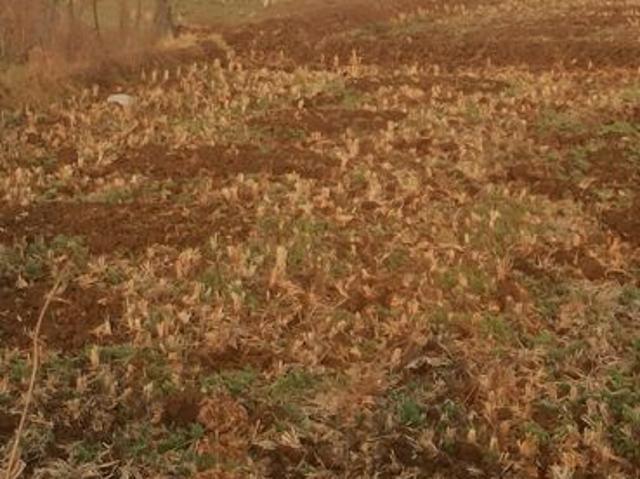 Land for sale in Navi Mumbai, National Capital Territory Of Delhi