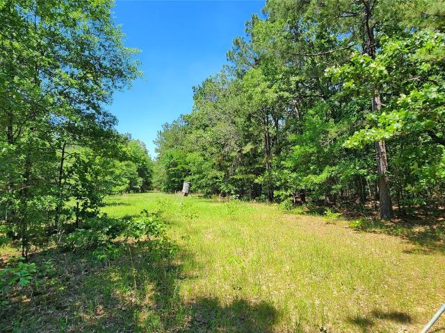 Land for sale in Clarksville, Texas