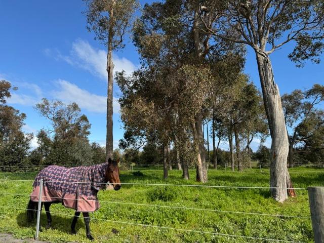 Cottage for sale in Hithergreen, Western Australia
