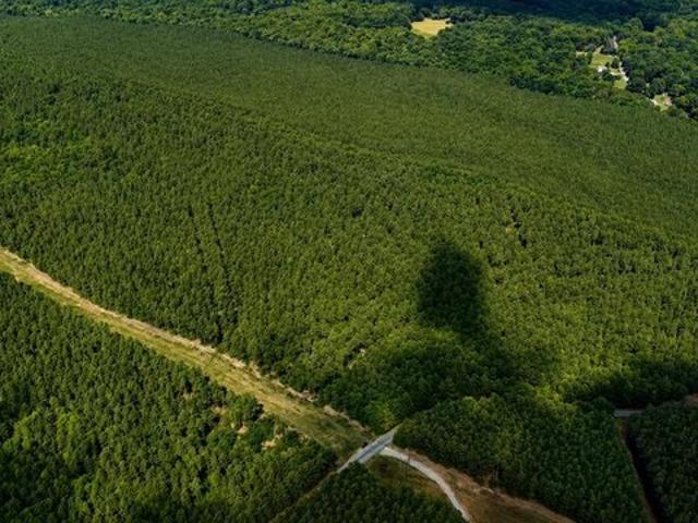 Land for sale in Virginia