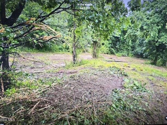 Land for sale in Cropseyville, New York