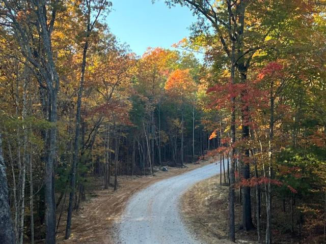 Land for sale in Tennessee