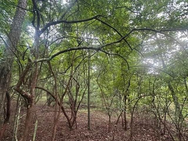 Land for sale in Tennessee