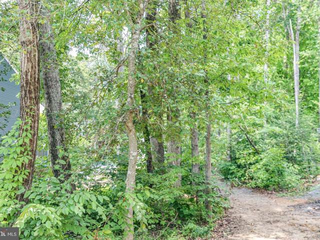 Land for sale in Virginia