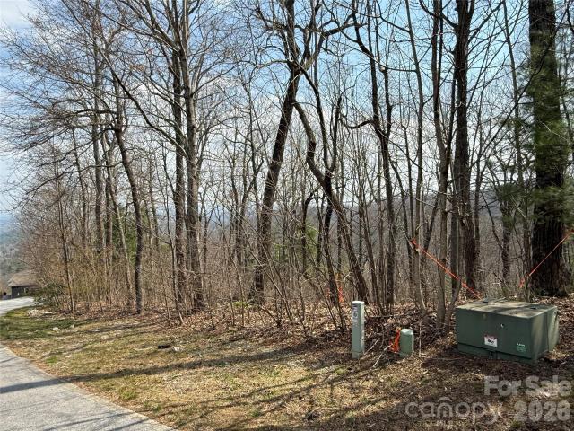 Land for sale in East Flat Rock, North Carolina