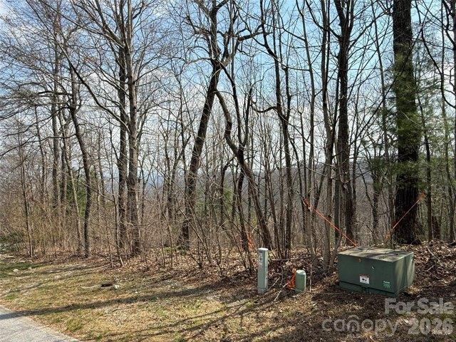Land for sale in East Flat Rock, North Carolina