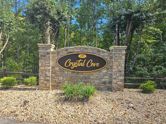 Land for sale in Rockwood, East Tennessee