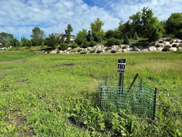 Land for sale in Waconia, Minnesota