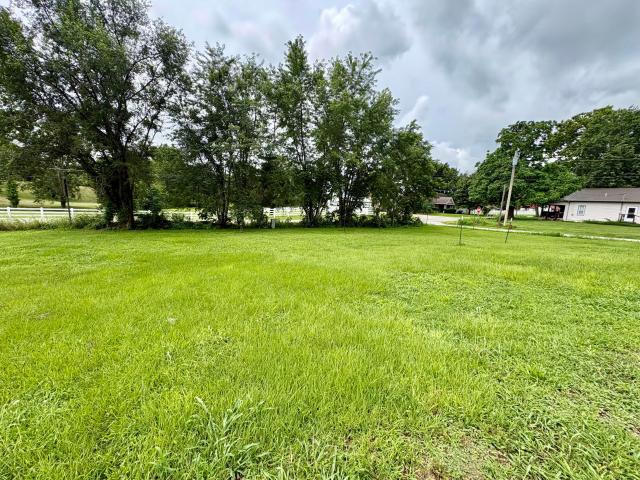 Land for sale in Everton, Missouri