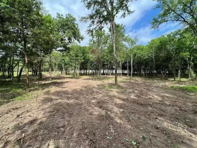 House for sale in Mabank