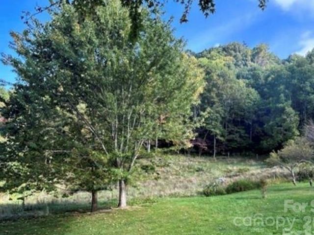 Land for sale in Clyde, Haywood County