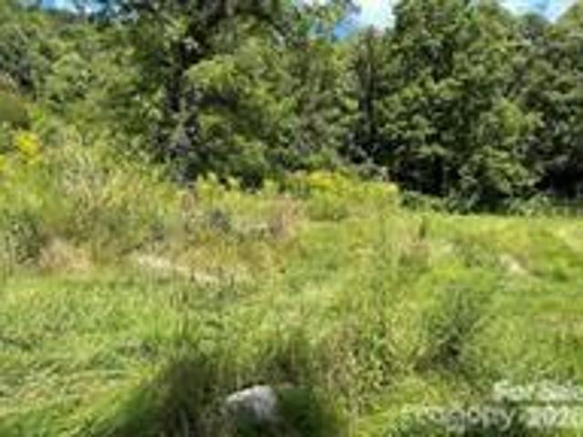 Land for sale in Clyde, Haywood County