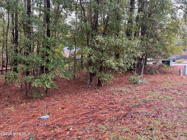 Commercial for sale in Rockingham, North Carolina