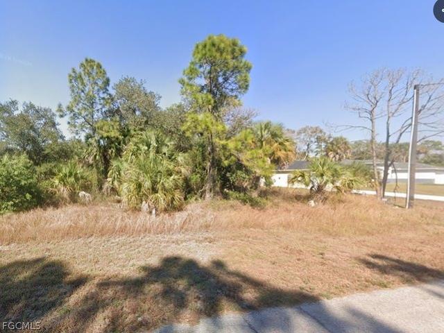 Land for sale in Labelle, Florida