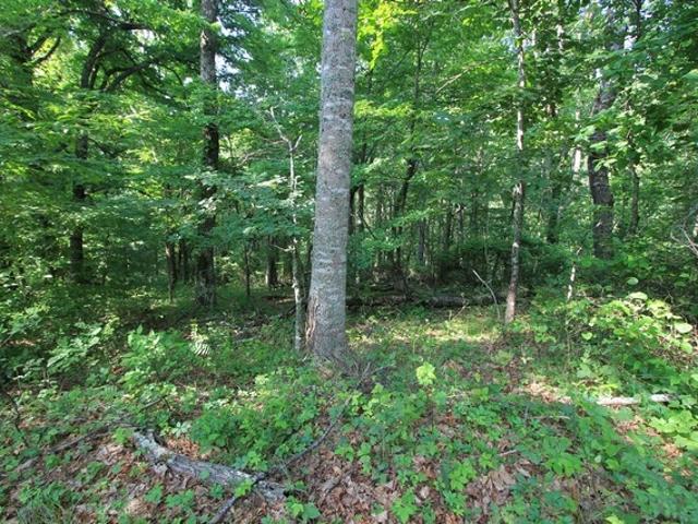 Land for sale in Virginia