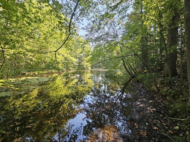 Land for sale in Tennessee