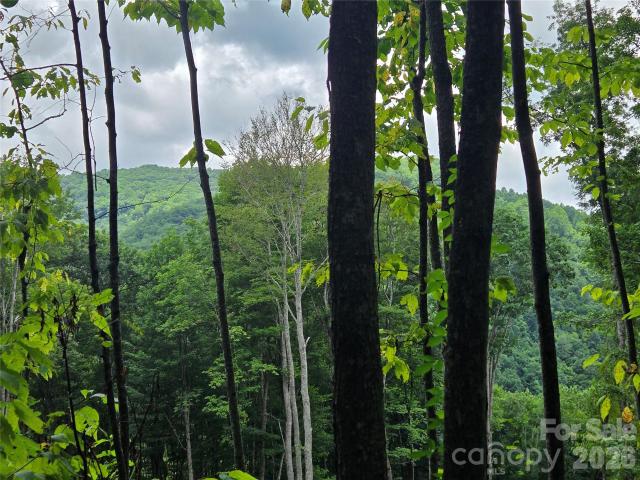 Land for sale in Haywood, North Carolina