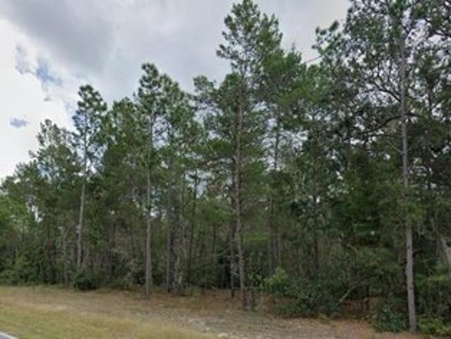 Land for sale in Florahome, Florida